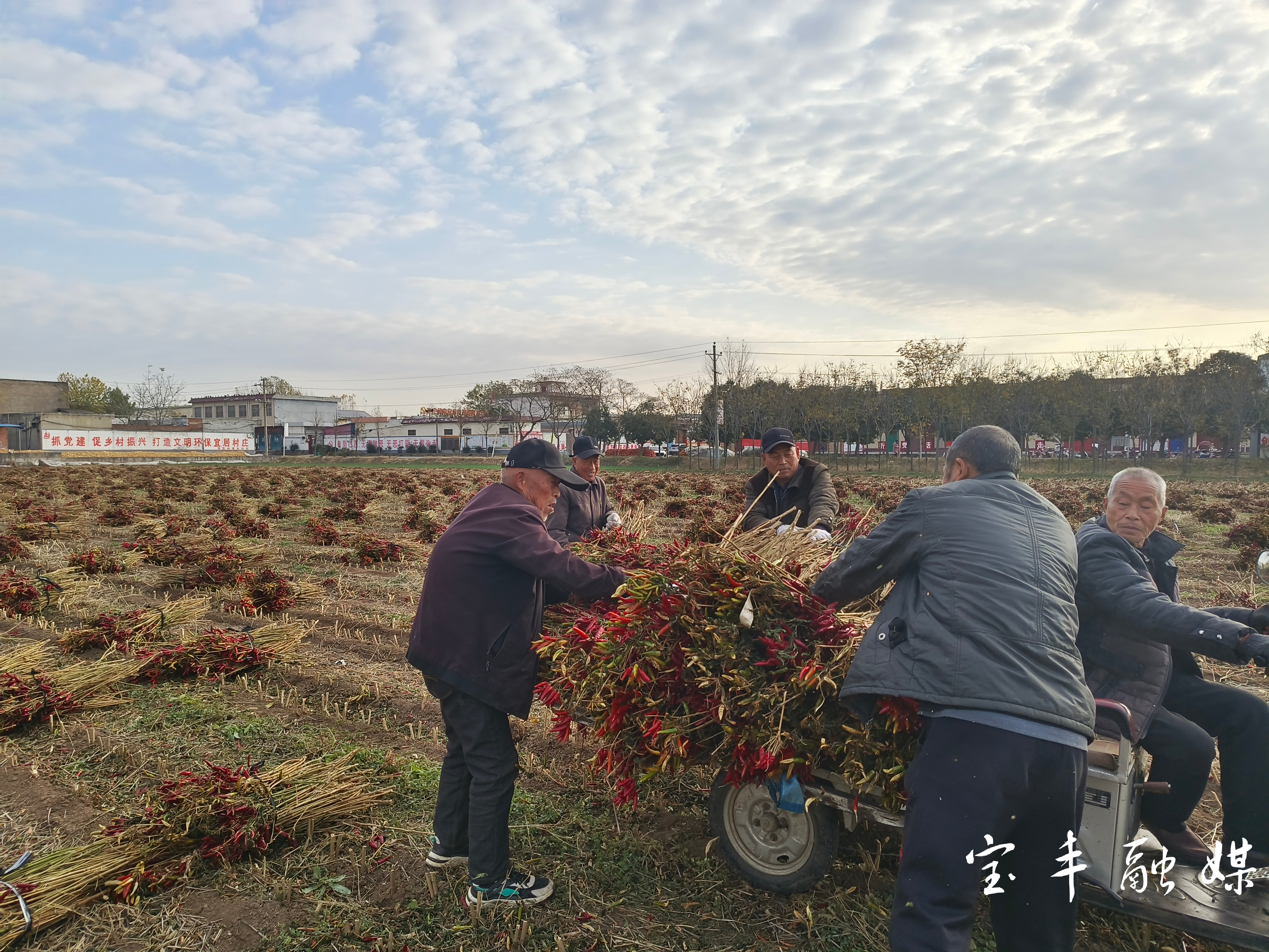 宝丰县赵庄镇图片