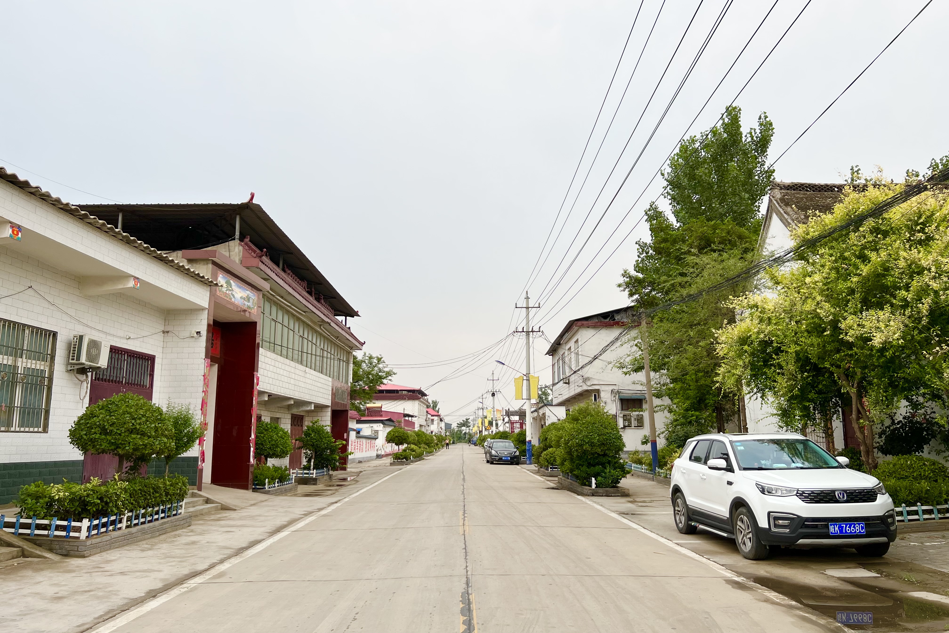 长葛这个村蜂蜡销售全球第一村企10年为村里捐款超500万