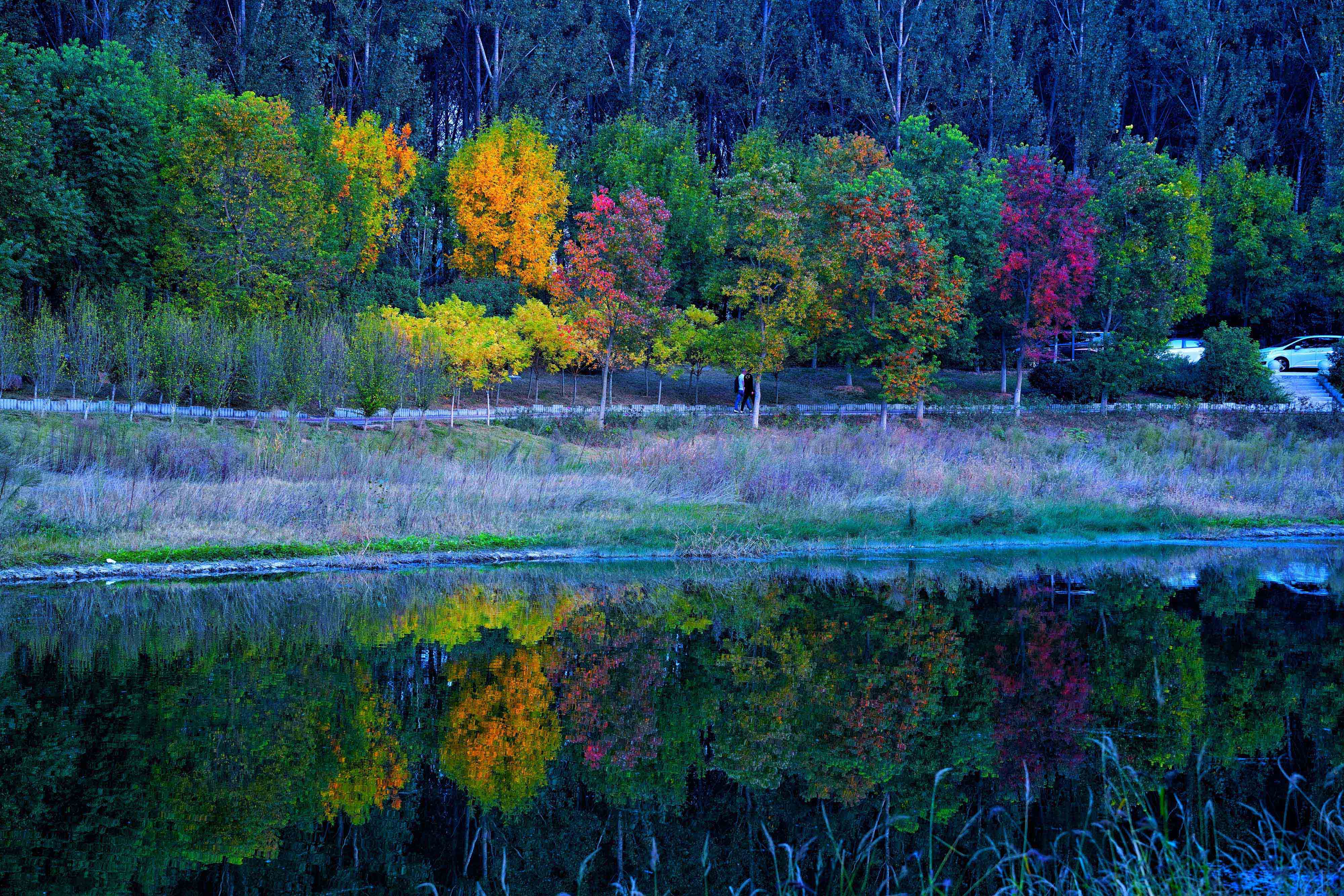 大美长葛秋意正浓多彩美景惹人醉