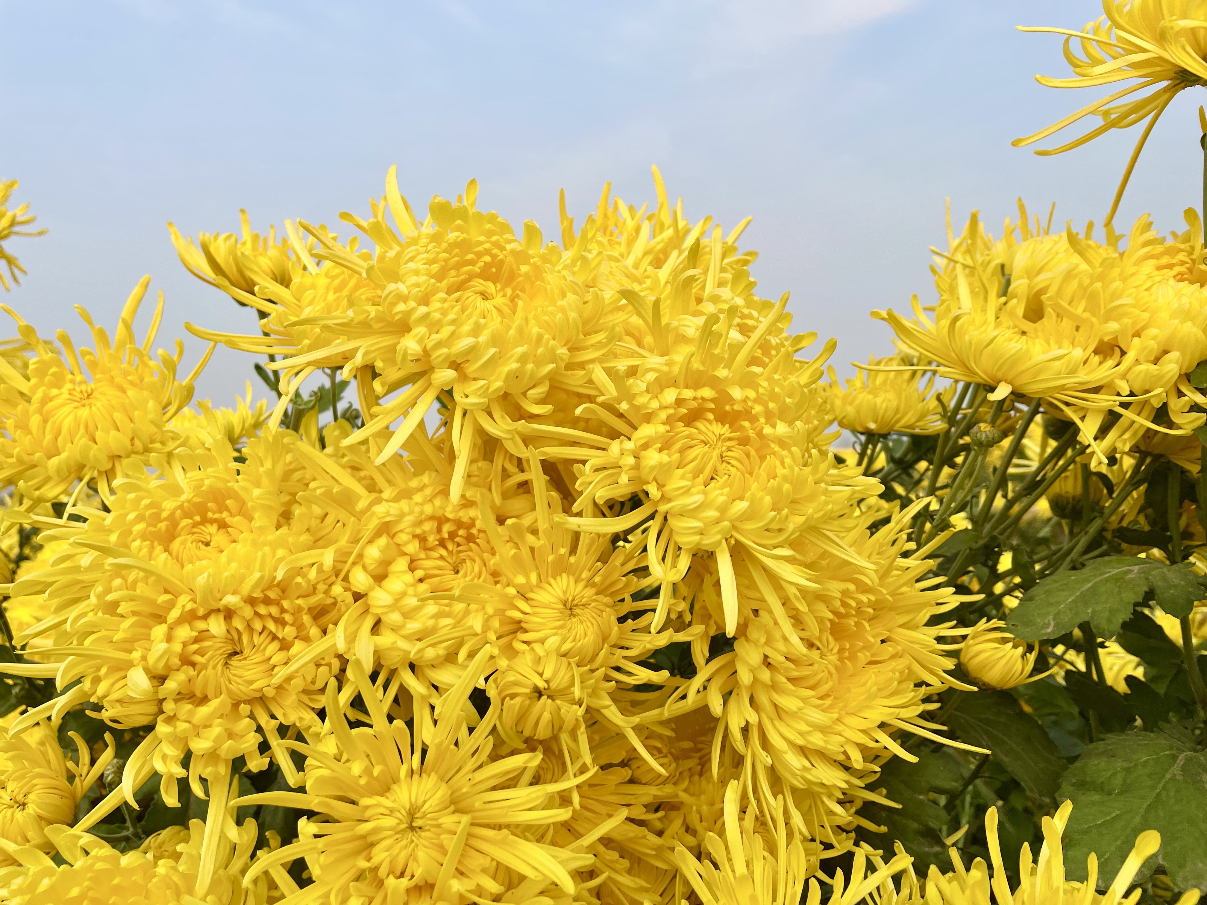 首页>云上河南>正文>"后来发现是因为有小鸟要喝水,把水管啄开,导致的