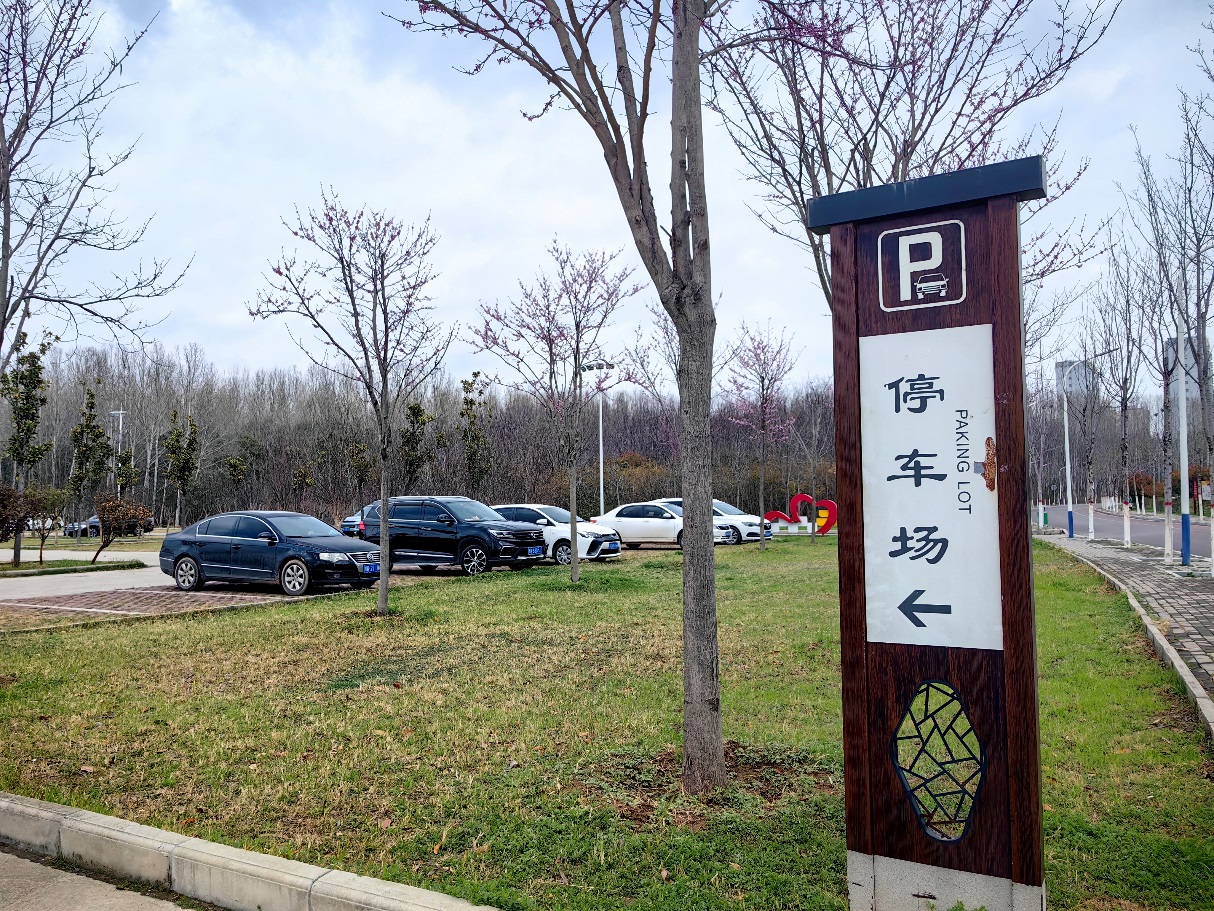 长葛:多措并举 营造赏樱优美环境-大象网