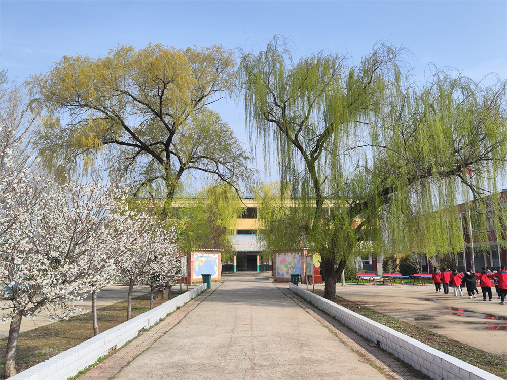 长葛这21所学校"校花"亮相!-大象网