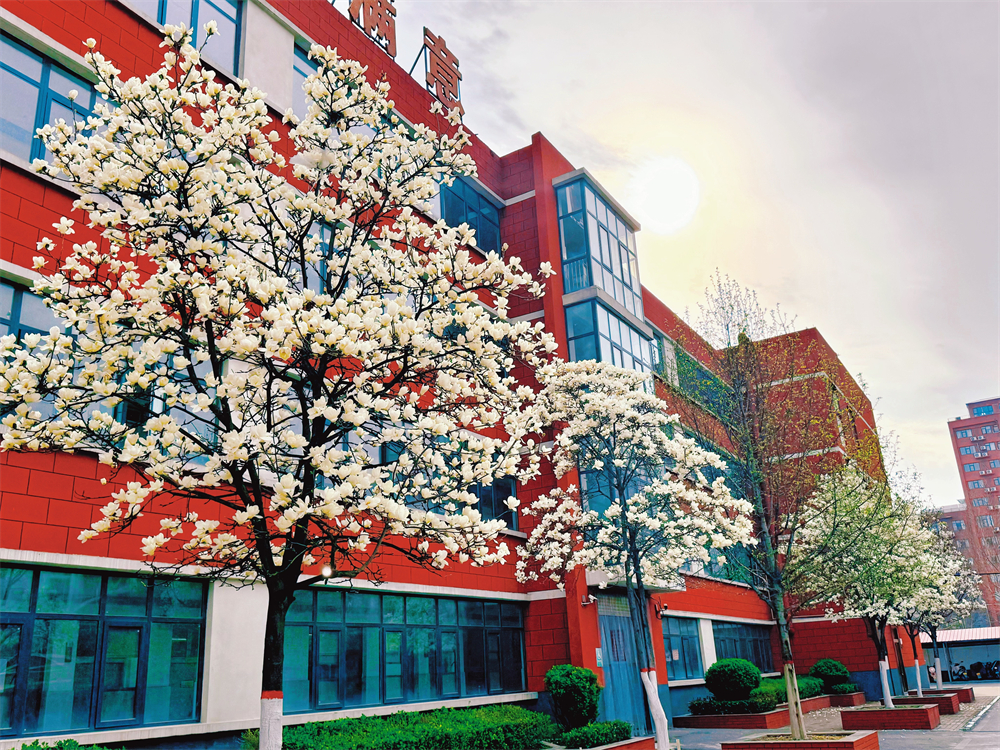 长葛这21所学校"校花"亮相!-大象网