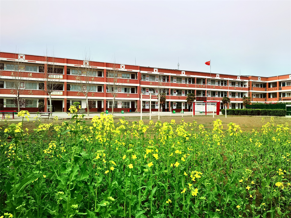 长葛这21所学校"校花"亮相!-大象网