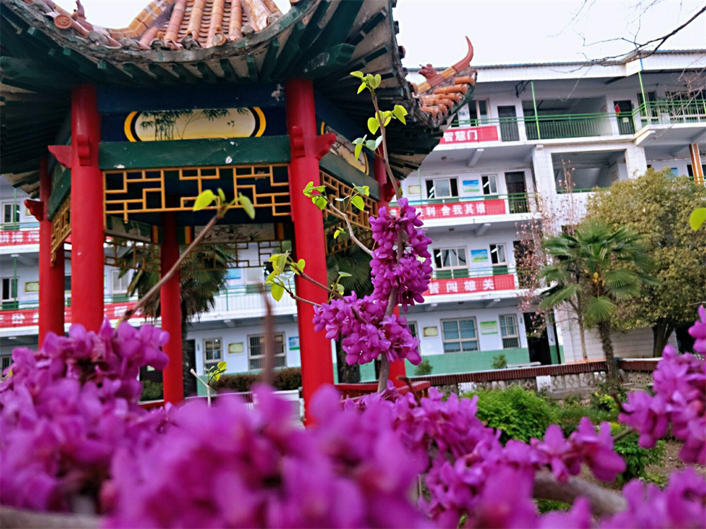 长葛这21所学校"校花"亮相!-大象网