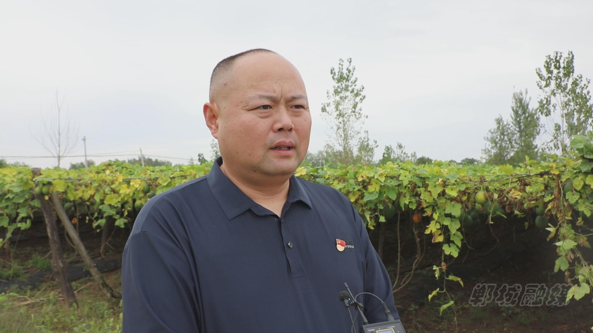 首页>头条>正文>宁平镇副镇长安庄行政村党支部代理书记赵捷说:"目前