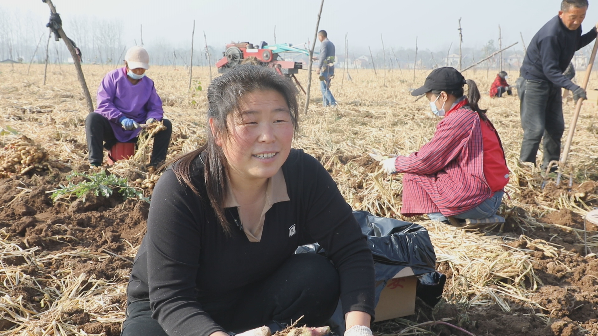 郸城县虎岗乡富农兴村姜来可期