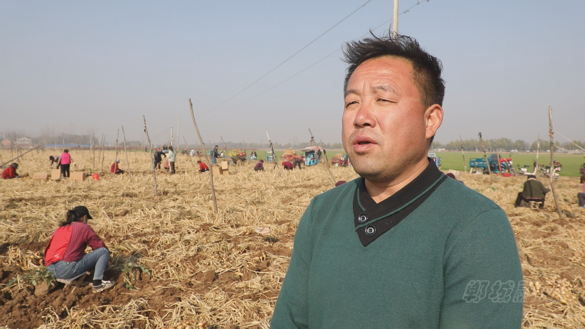 郸城县虎岗乡富农兴村姜来可期