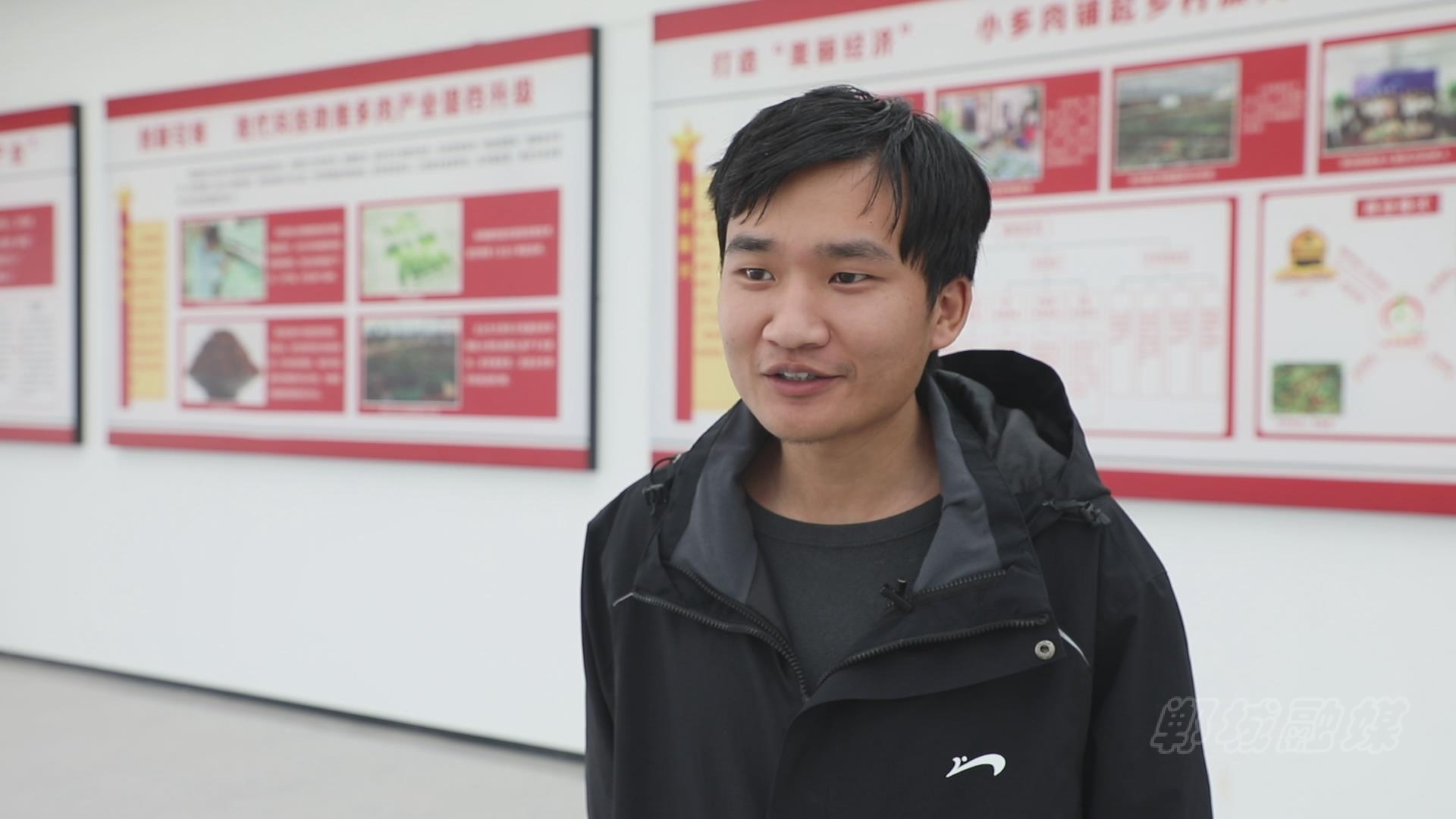 郸城:"萌"经济让"多肉"变"多金"-大象网