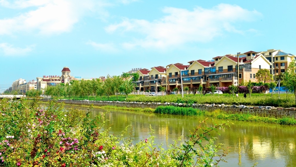 河南郸城 初夏时节花芬芳