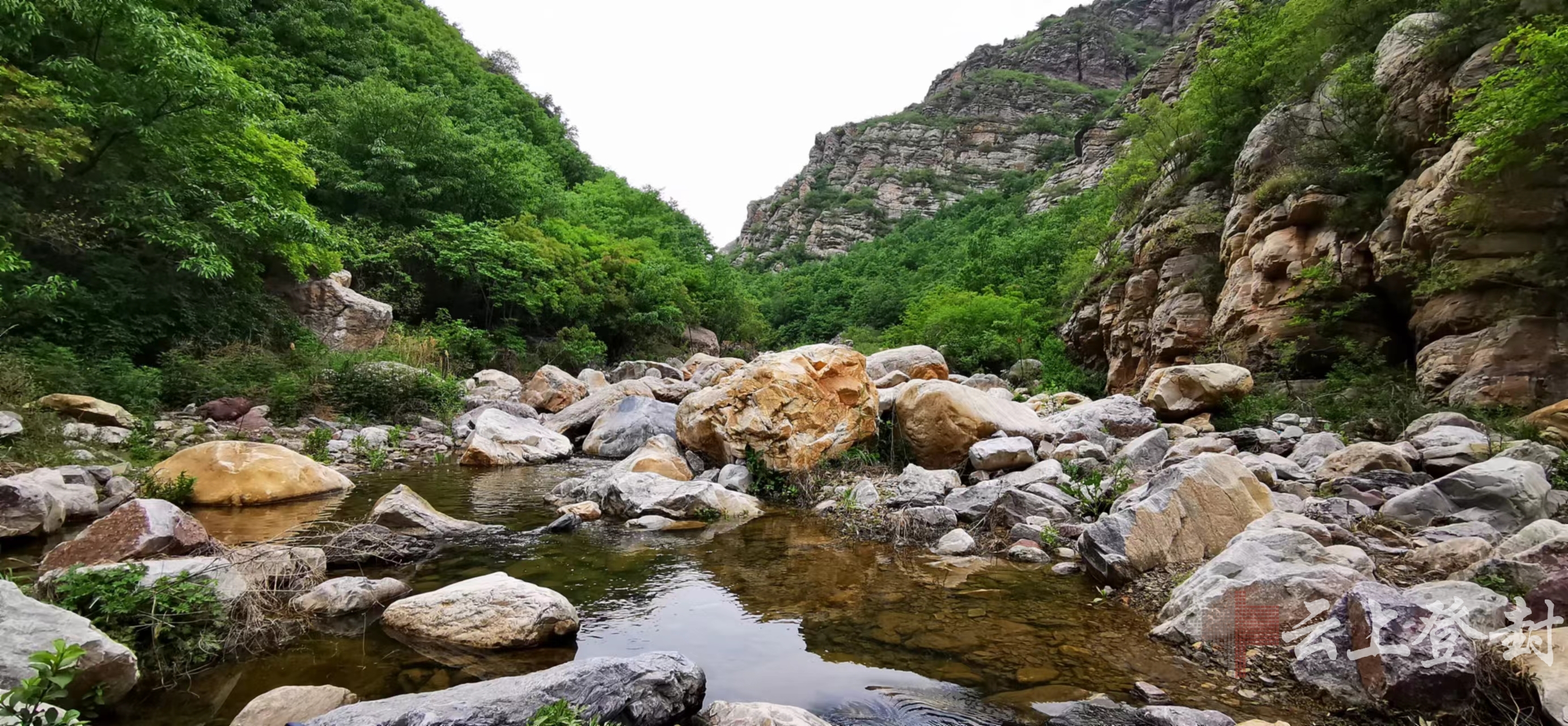 >白墙黛瓦的农家小院,纵横交错的林间小径……走进少林街道雷家沟村
