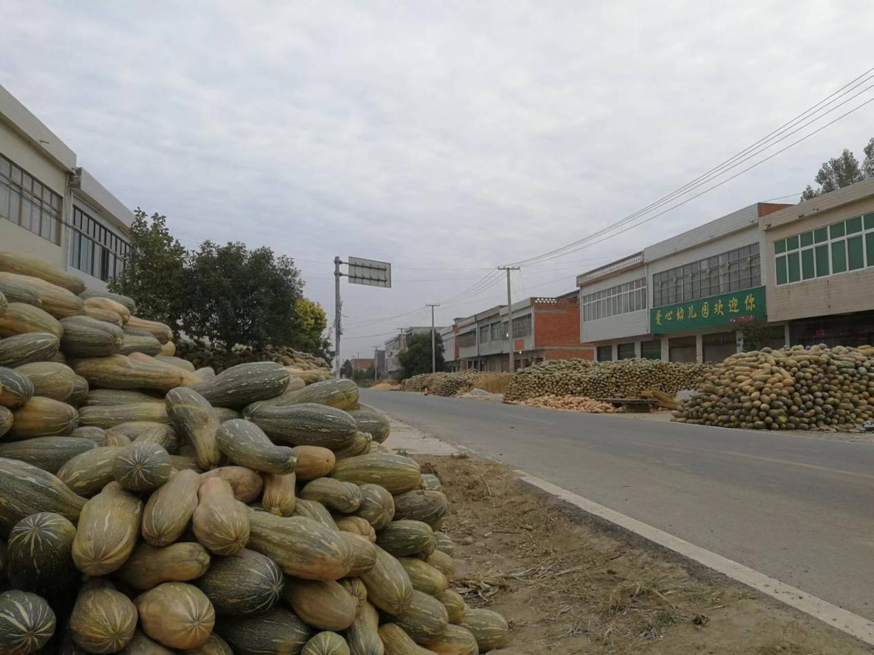 邓州市都司镇发展特色产业助力乡村振兴