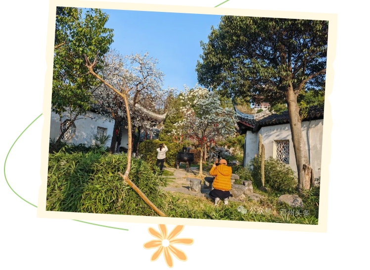 是赏花的好时候赶快呼朋唤友来花洲书院游玩吧邓州市融媒体中心王崇顺
