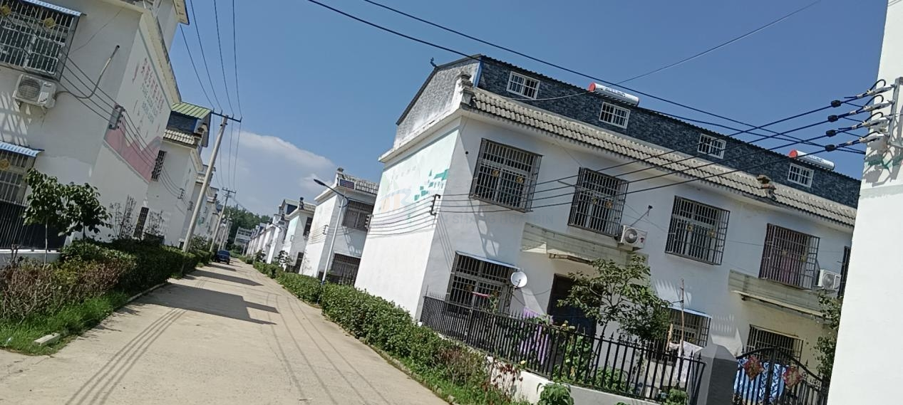 淮滨清除空中蜘蛛网人居环境换新颜
