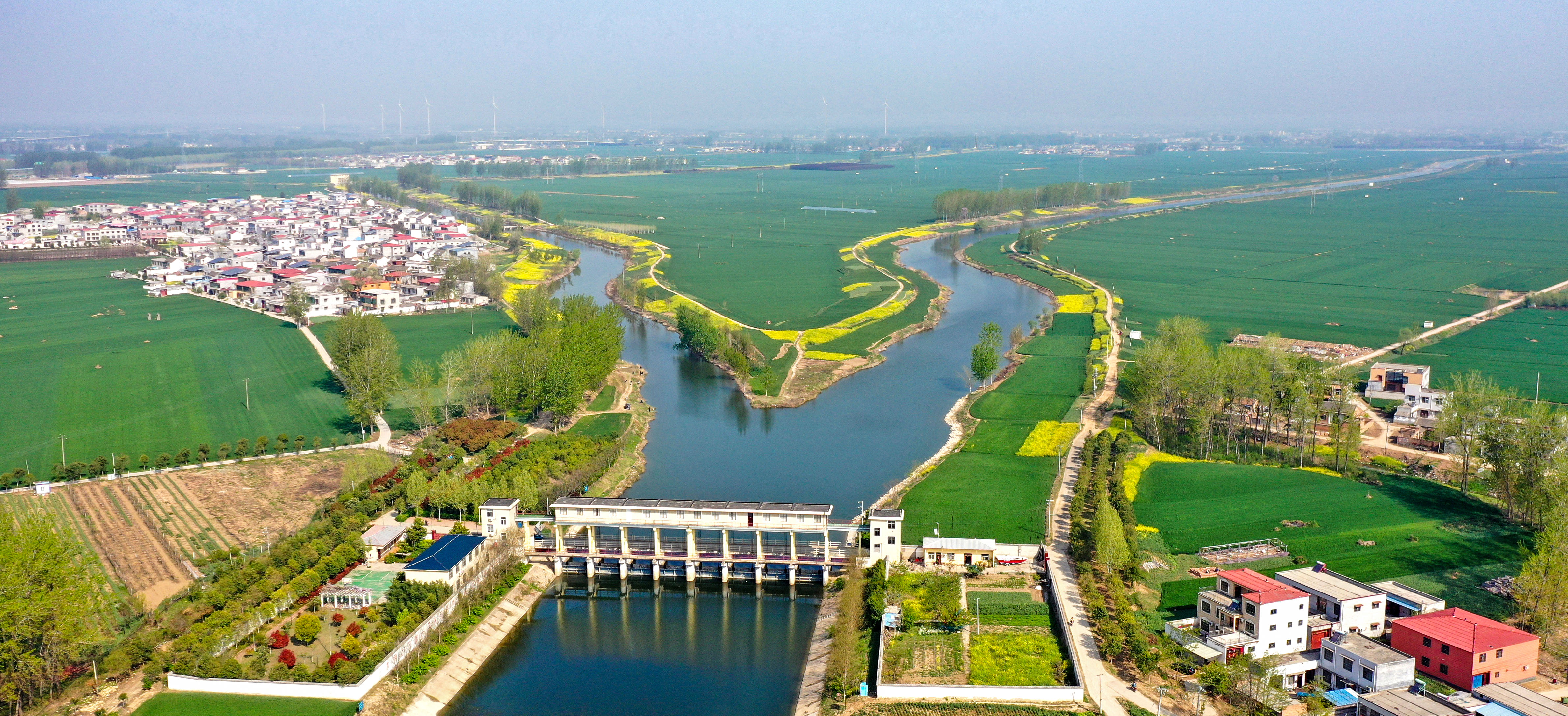 周口市淮阳区乡村春景美如画