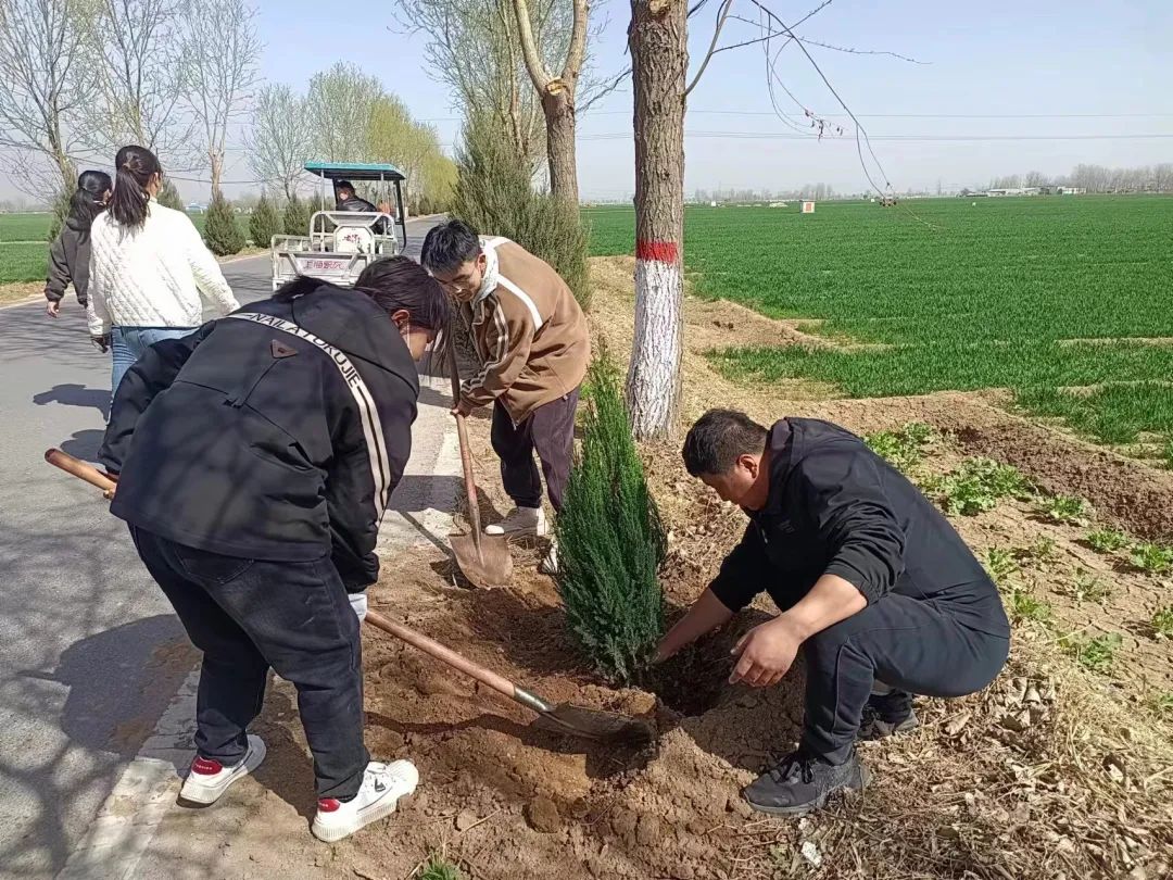 邯郸魏县拔树图片