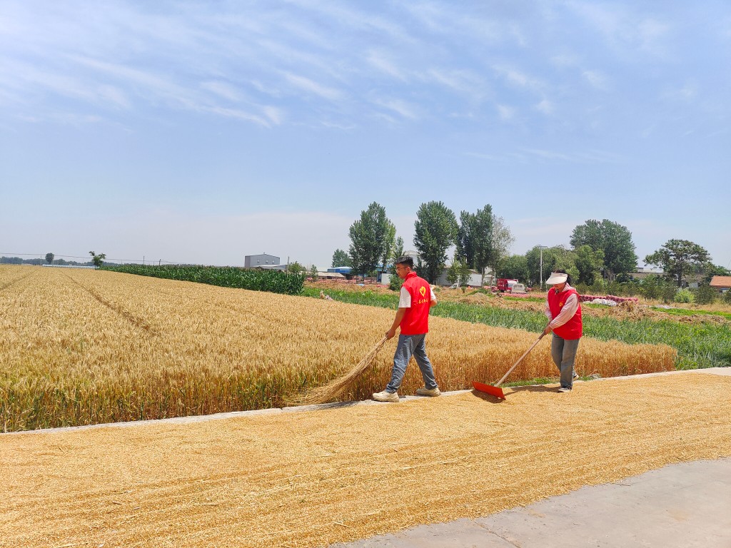 滑县瓦岗寨乡:全力以赴战"三夏"