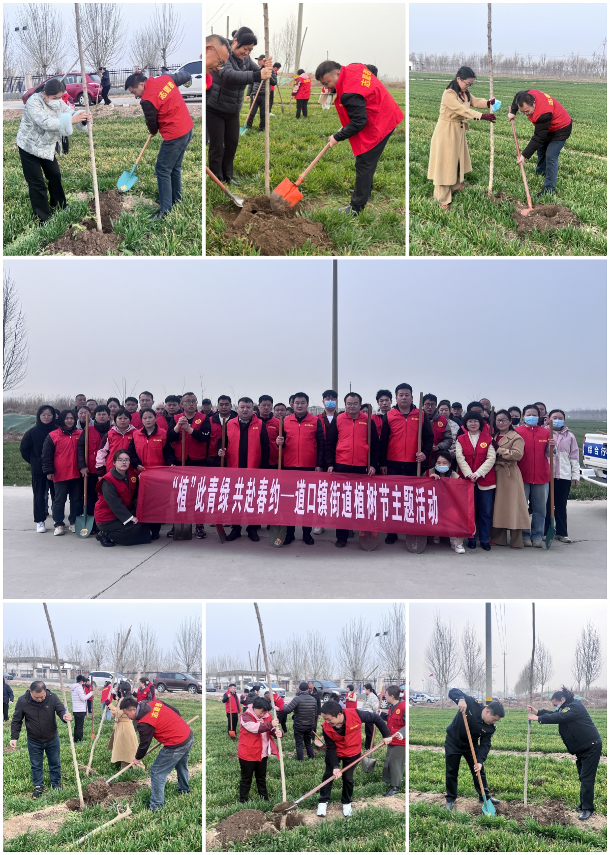 植树节合成图7张.jpg