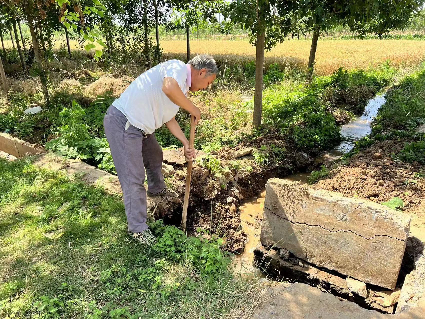 辉县市孟庄镇路固村组织人员对村东水渠进行清淤
