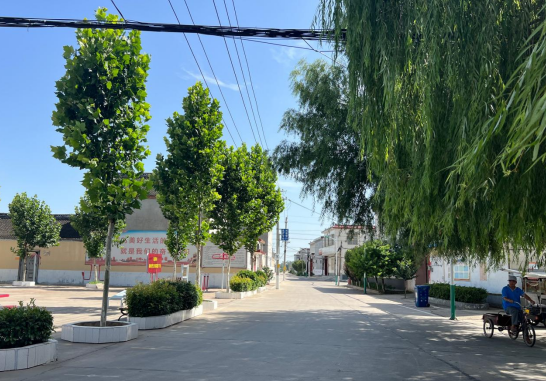 许昌市建安区鲁湾村夏日乡村绿意浓