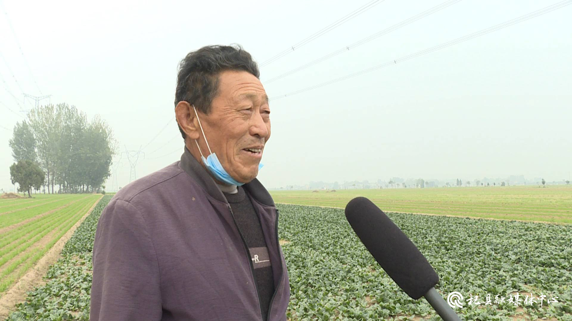 杞縣裴村店鄉發展菠菜種植拓寬農民增收致富之路