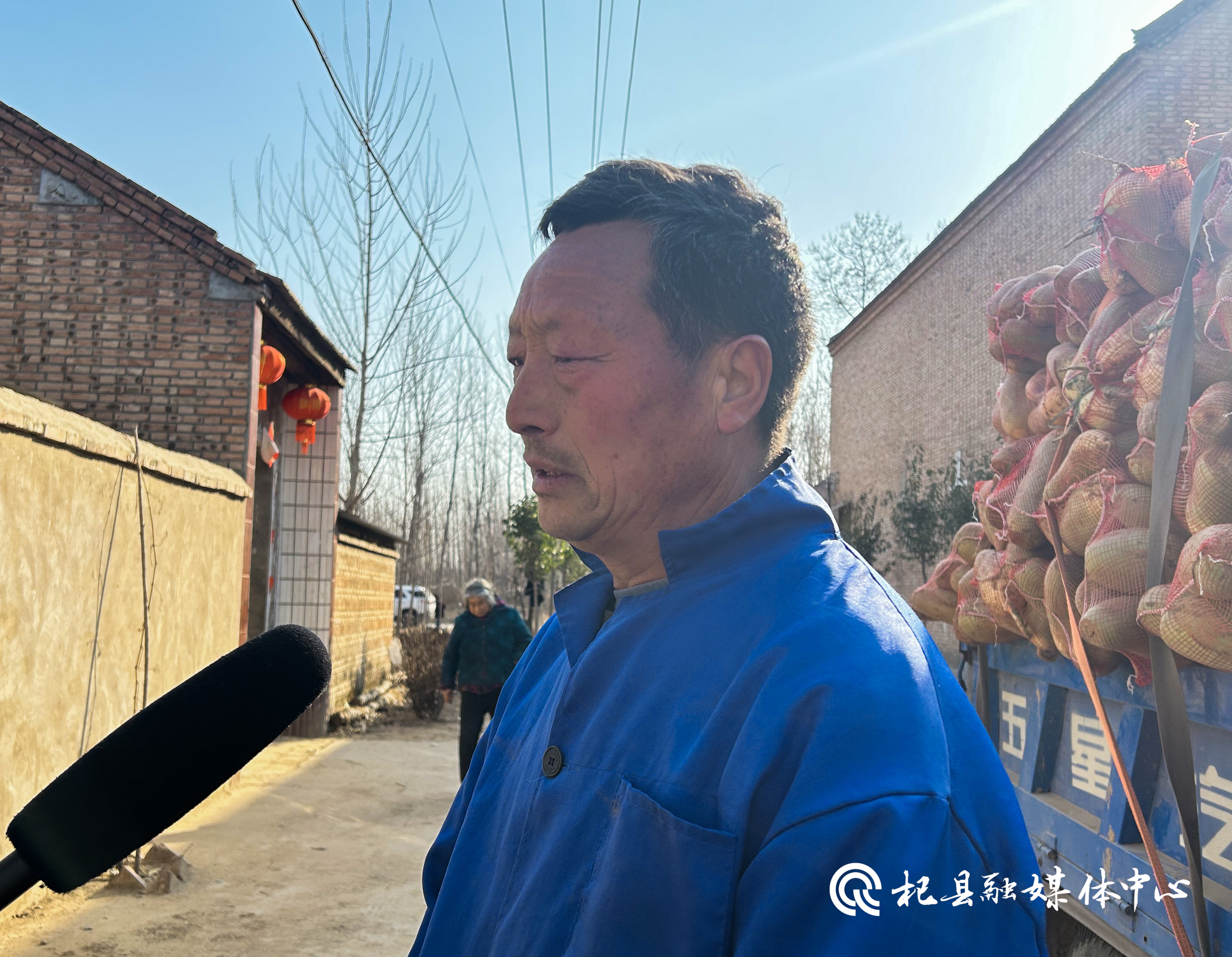 杞县媒体助农西寨乡大河湾村白萝卜大白菜被爱心学校收购