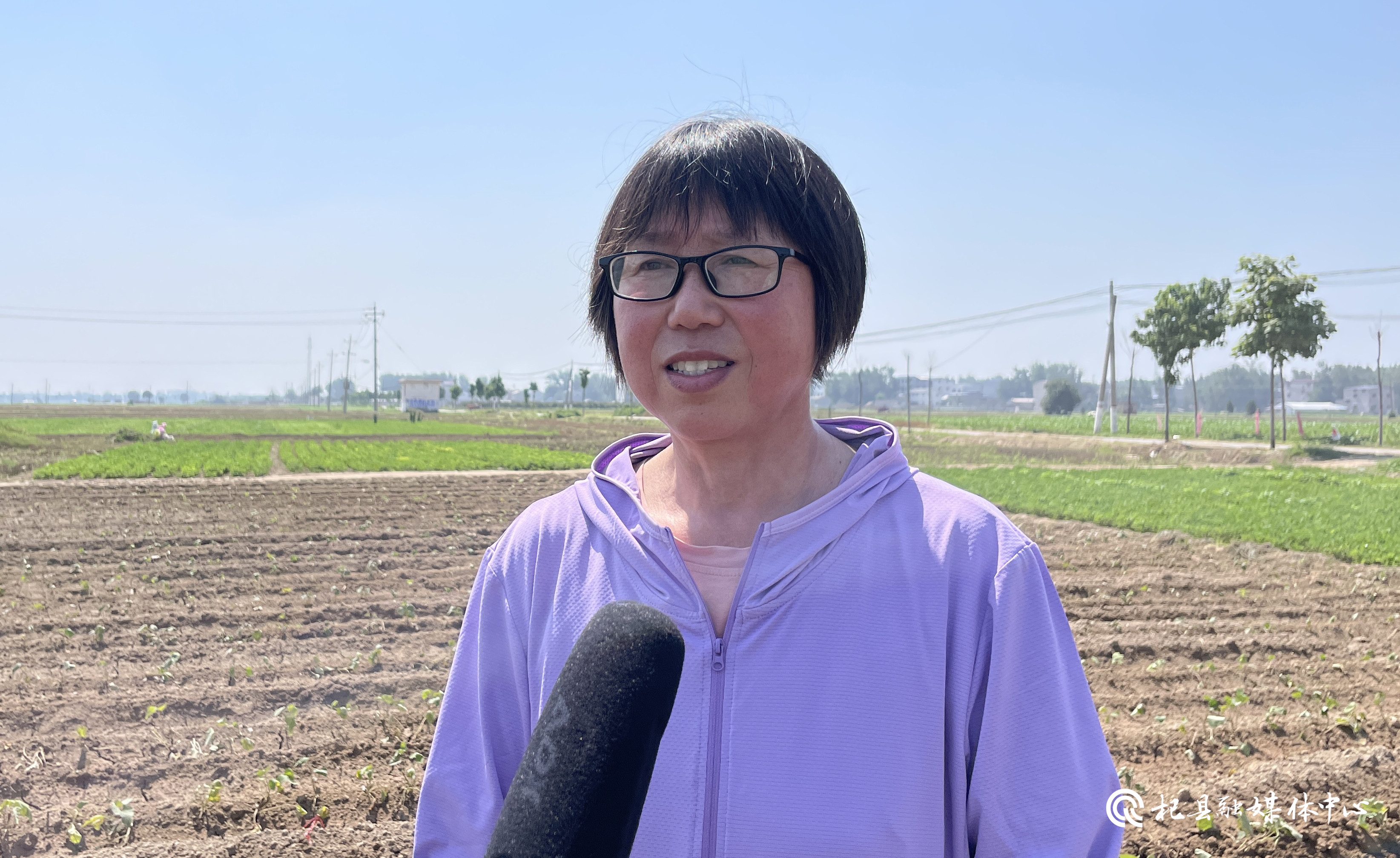 首页>头条>正文>县农业农村局推广研究员王慧琴说:"目前我县小麦已