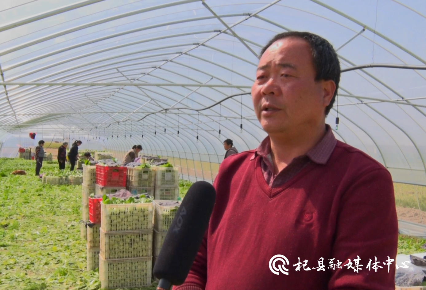 杞县泥沟乡以产业兴旺为引擎 绘好乡村振兴图-大象网