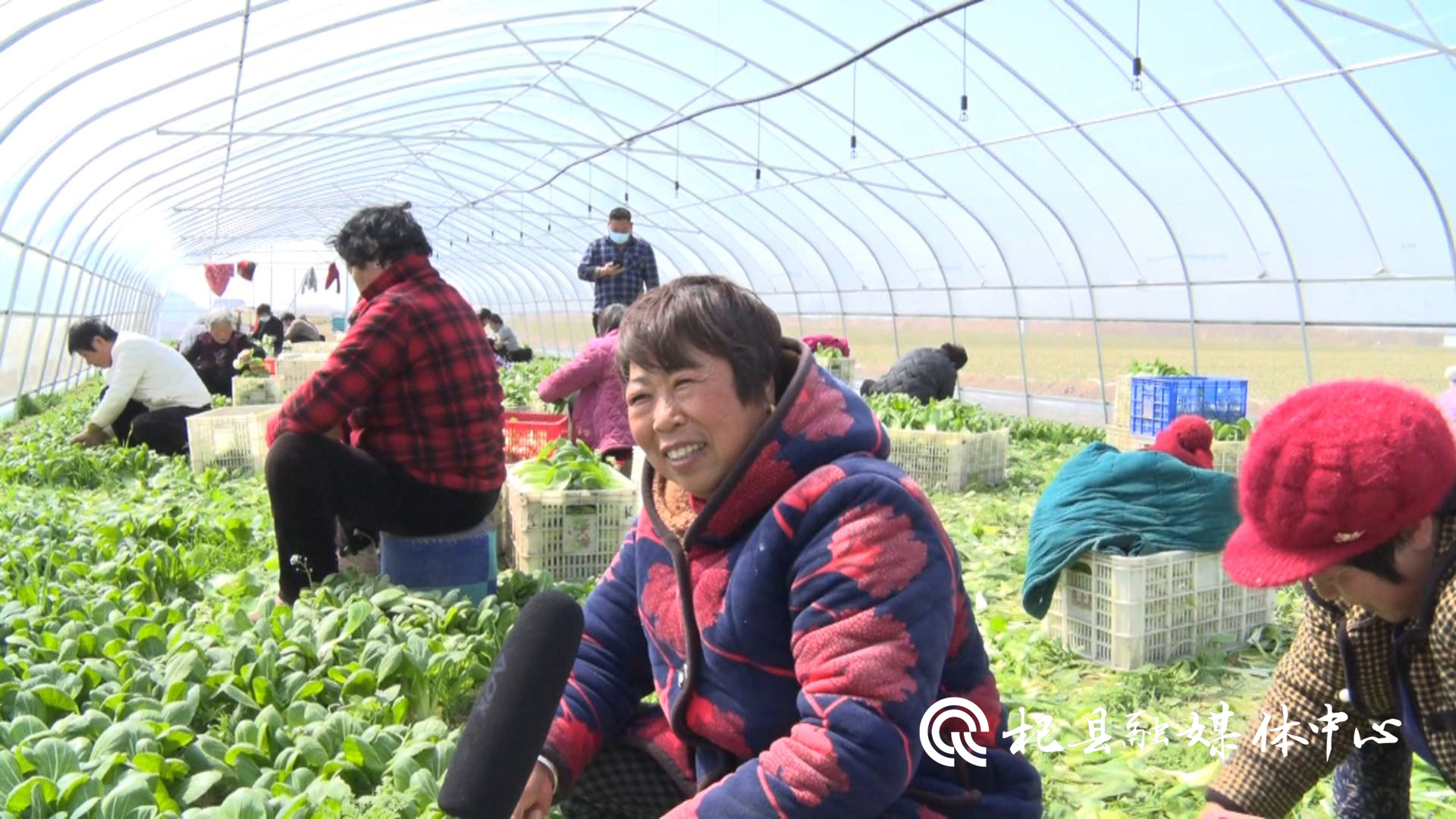 杞县泥沟乡以产业兴旺为引擎 绘好乡村振兴图-大象网