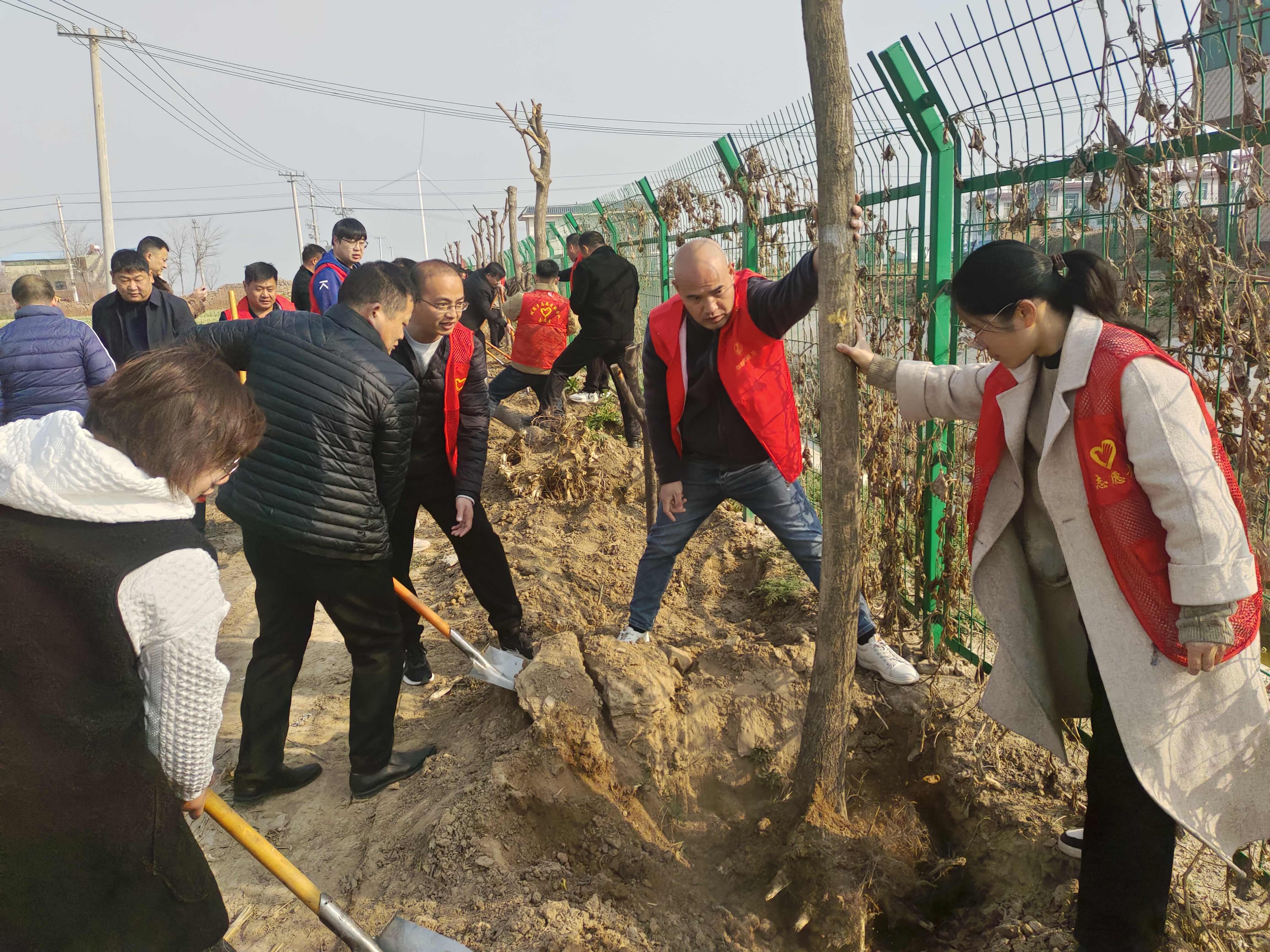 杞县湖岗乡:开展移风易俗暨义务植树活动-大象网