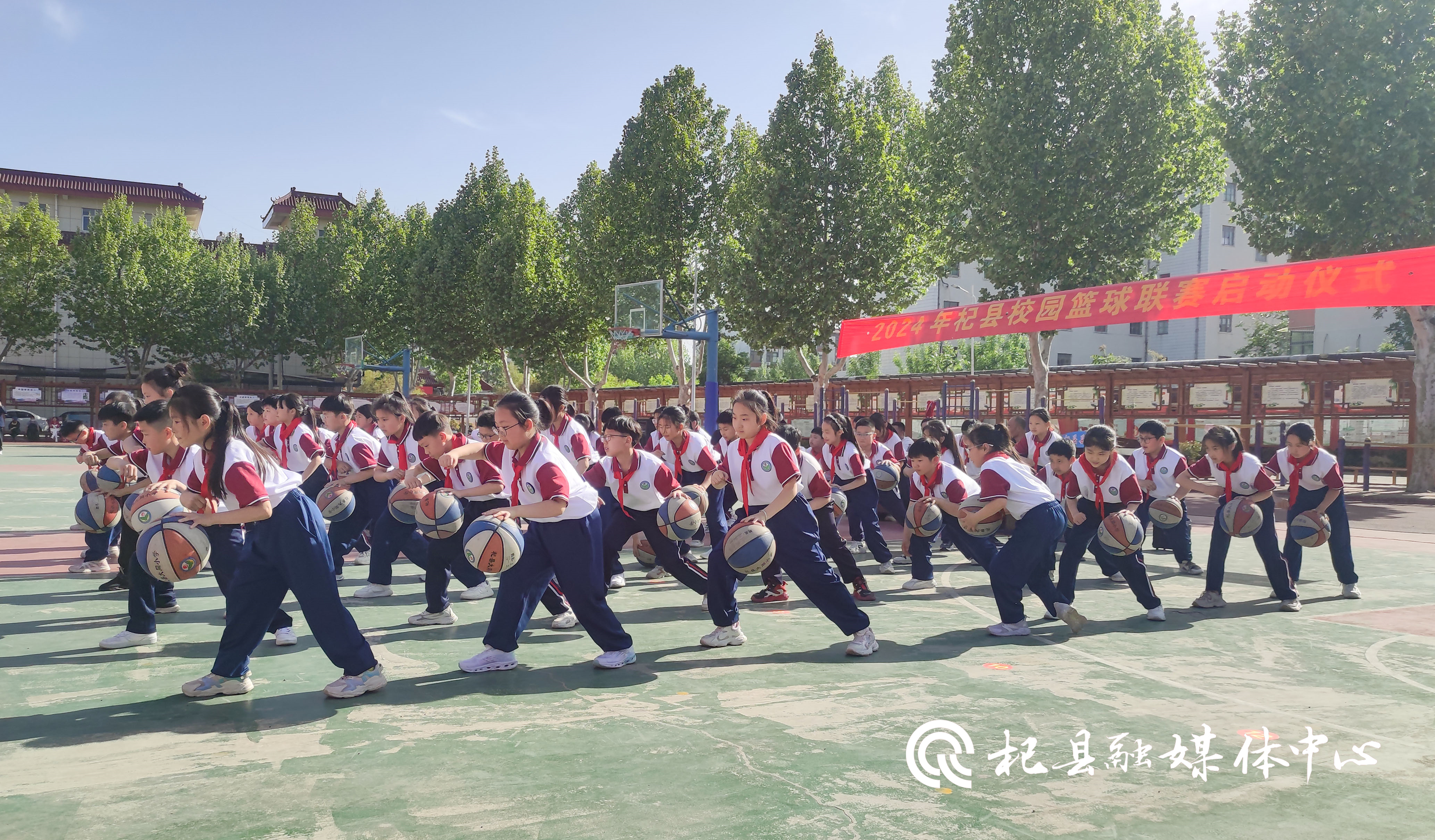 杞县第一高级中学校花图片