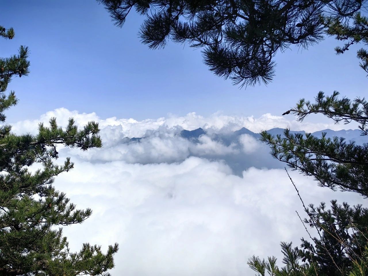 炎炎夏日,来灵宝一起避暑吧