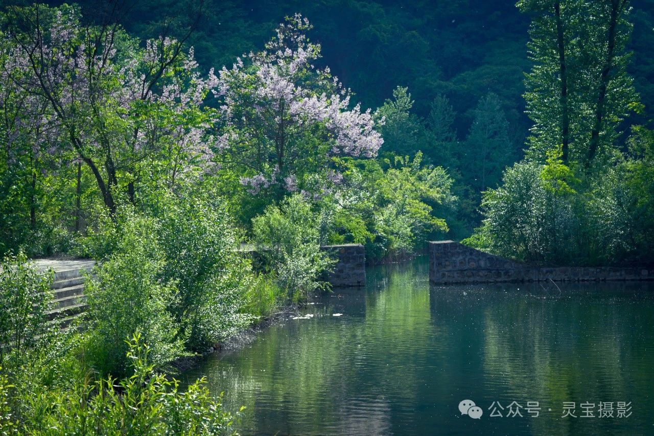 在燕子山赴一场绿野仙踪01给灵魂一份安宁与温柔让温暖的阳光洒进心扉