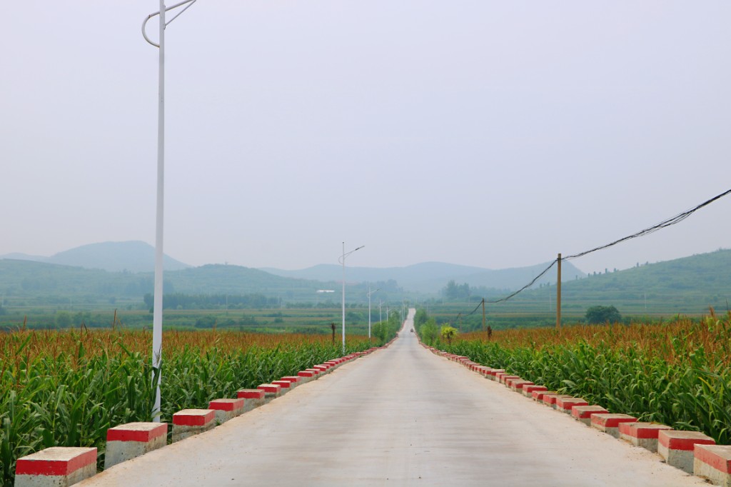 林州市河顺镇农村公路建设提档升级营造畅通美丽安全的交通环境