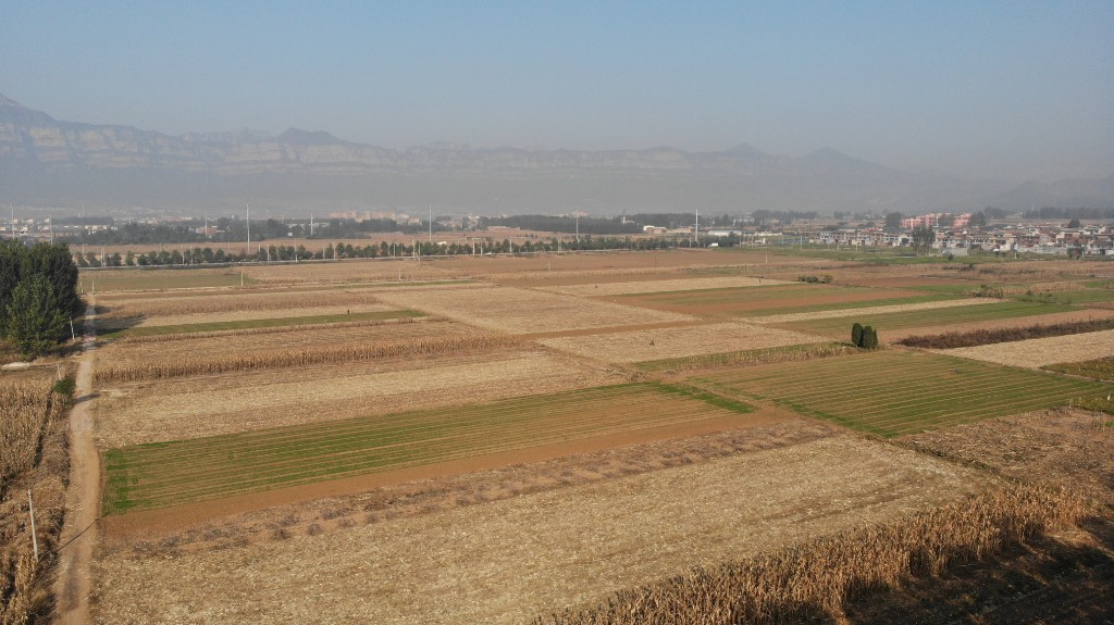 林州市姚村镇推进高标准农田建设助力农业提质增效