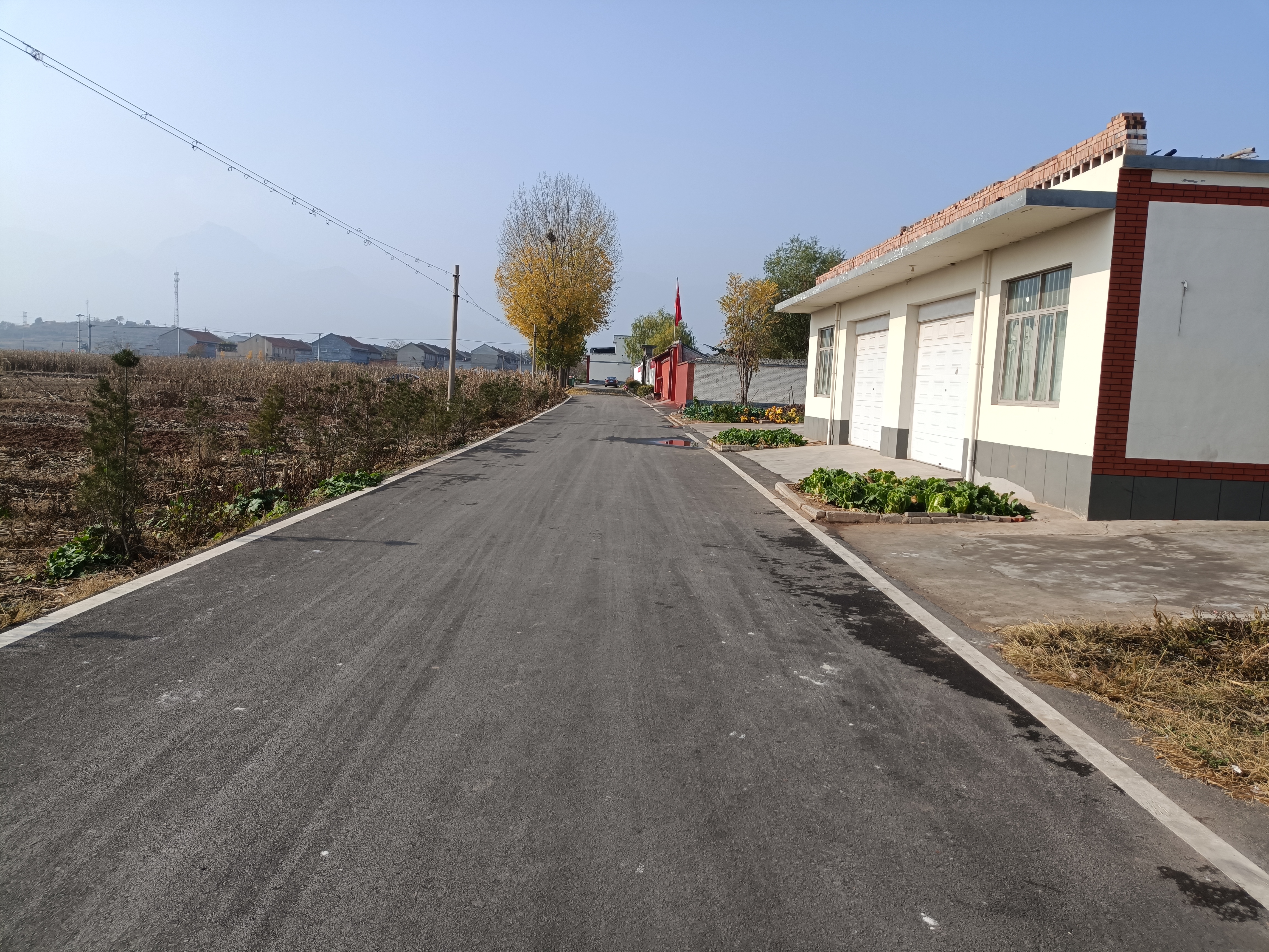 路路通变路路美闹心路成幸福路林州市振林街道刘家街村让群众呼声变