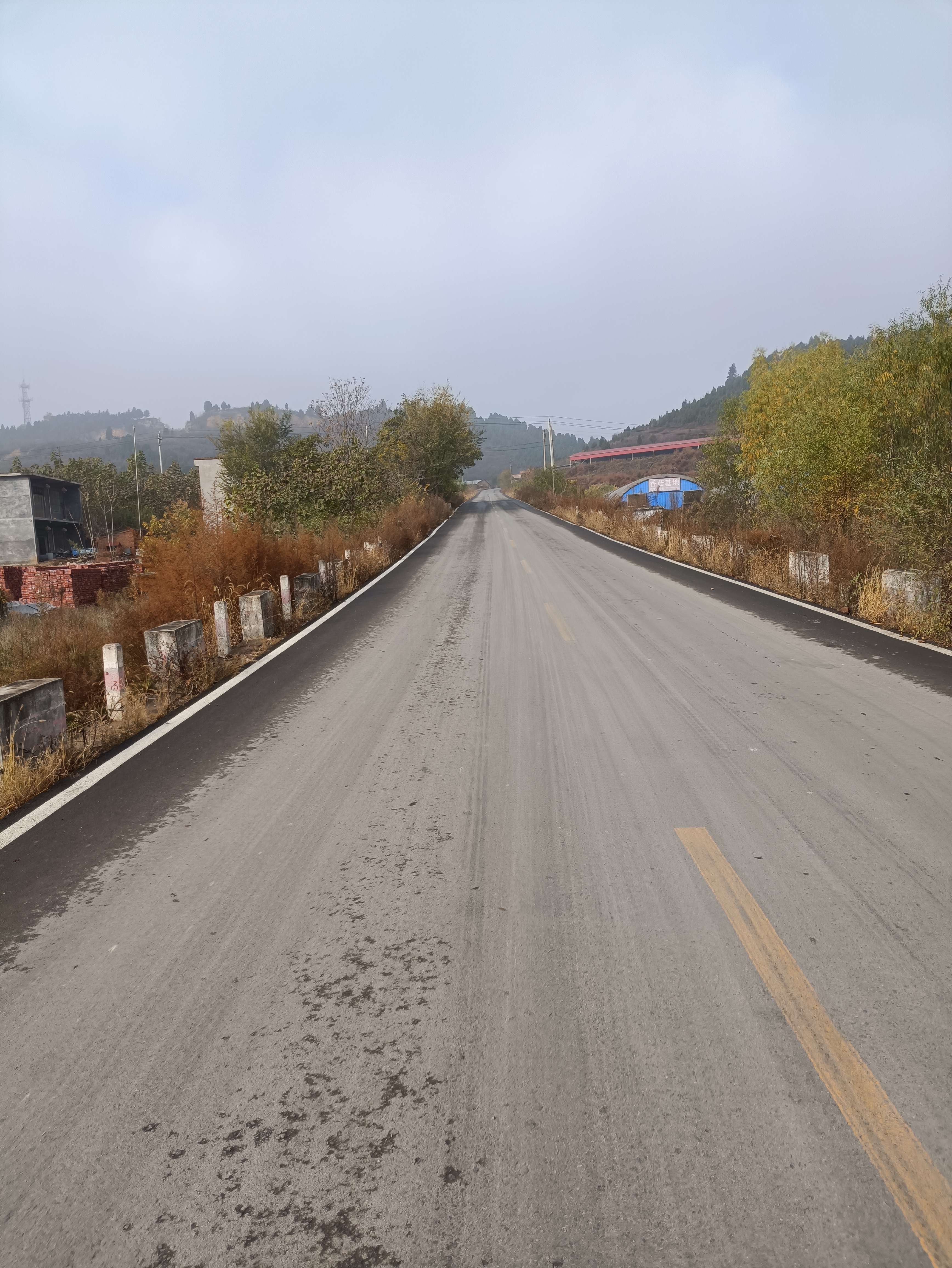 路路通變路路美鬧心路成幸福路林州市振林街道劉家街村讓群眾呼聲變