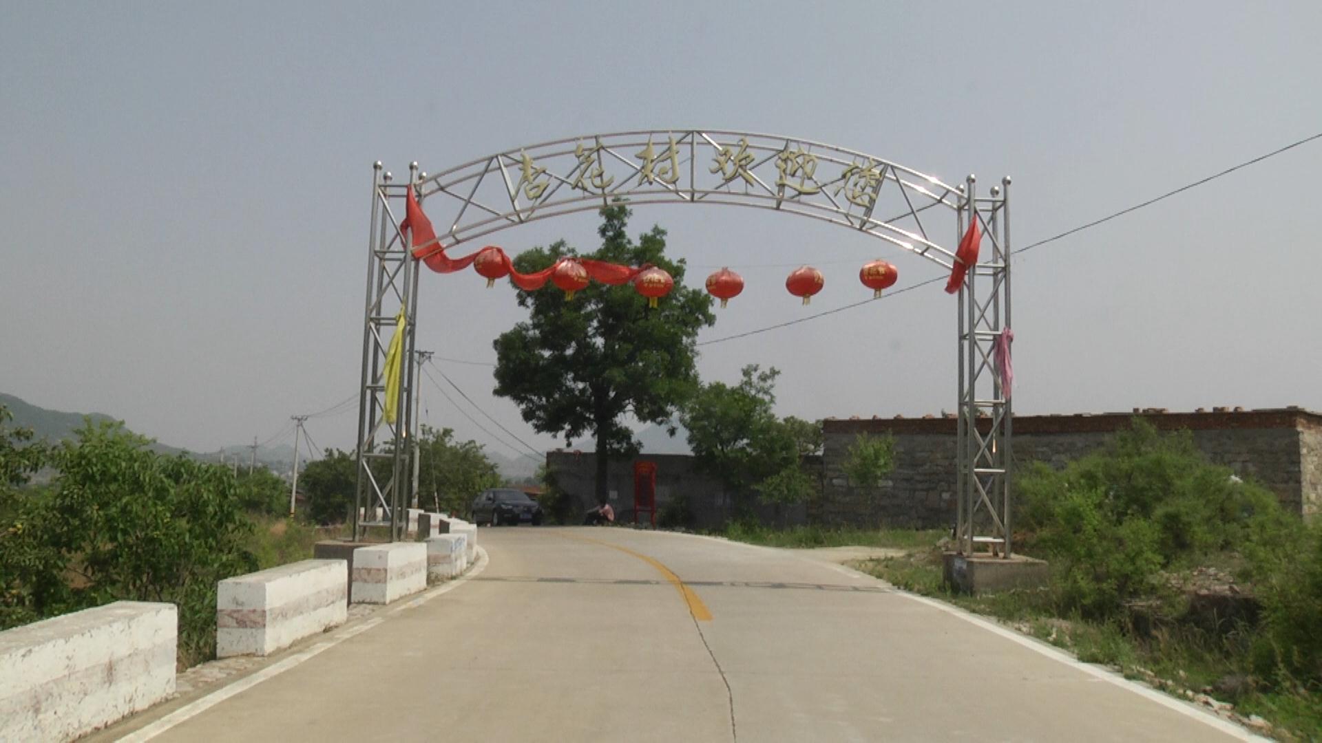 林州市东岗镇八角村杏为媒喜迎八方客