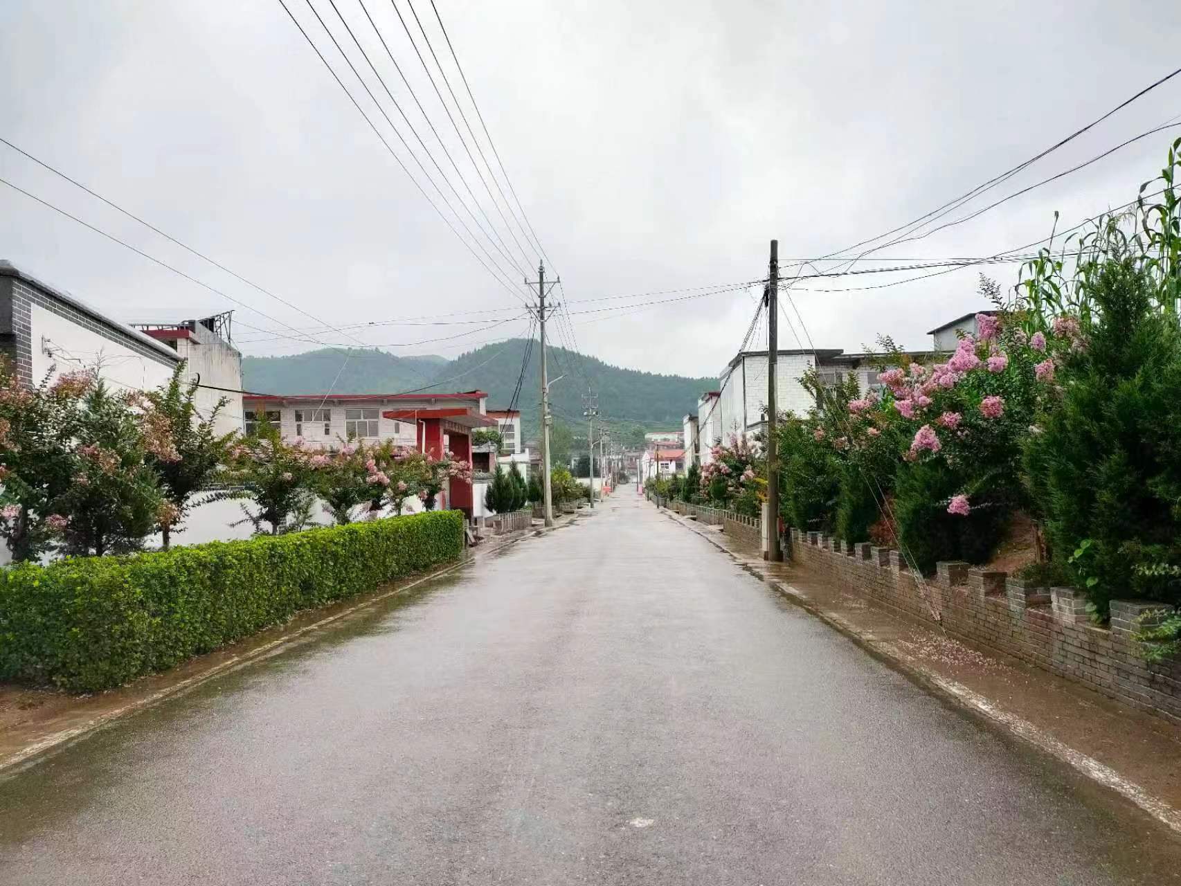 林州市桂林镇三井村写好生态文章绘就生态宜居美丽画卷