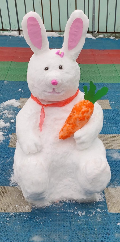 正文>"我们以刘家街党群服务中心为背景,用旗台作底,把雪堆雕琢成党徽