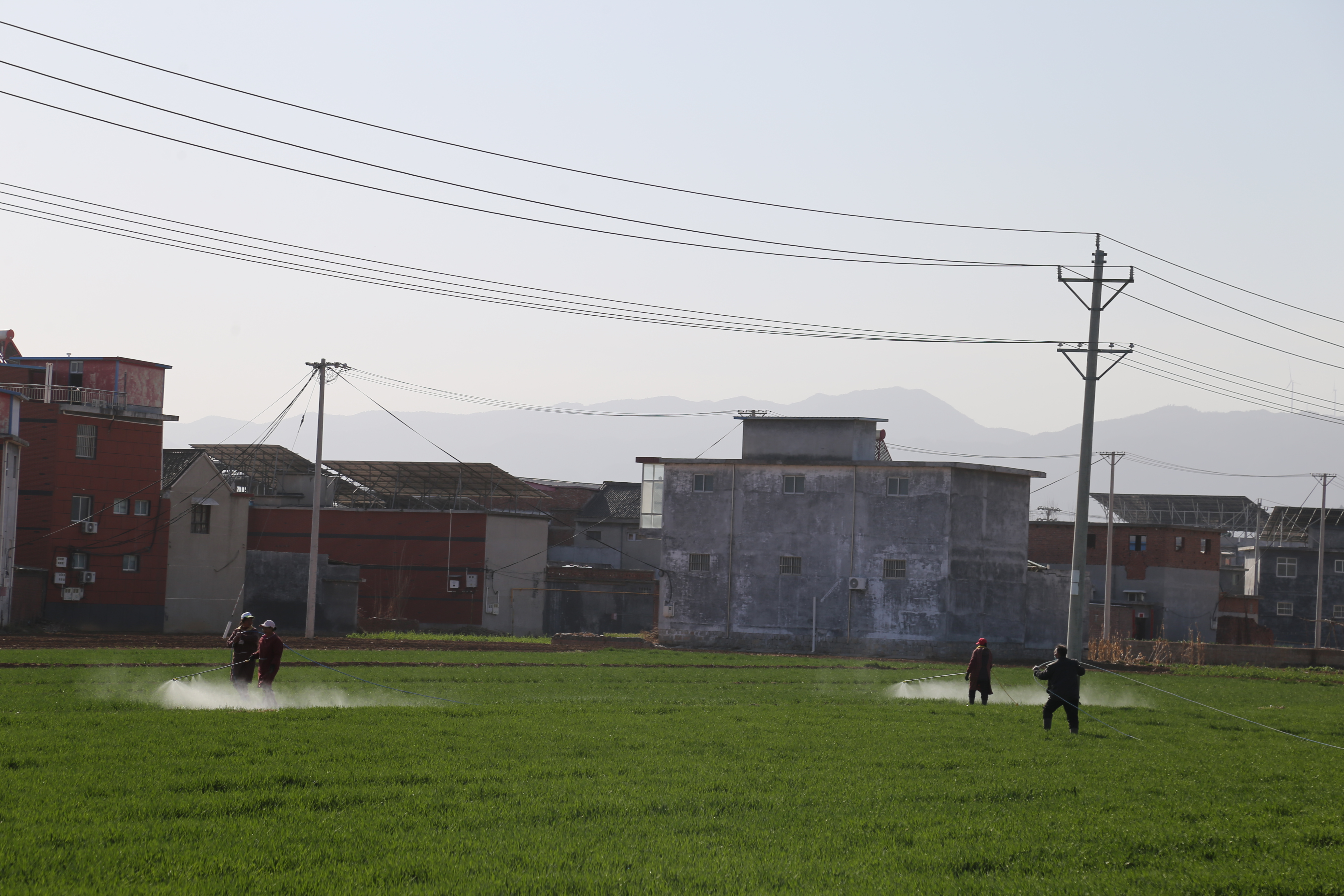 林州市茶店镇:科技赋能春耕忙-大象网