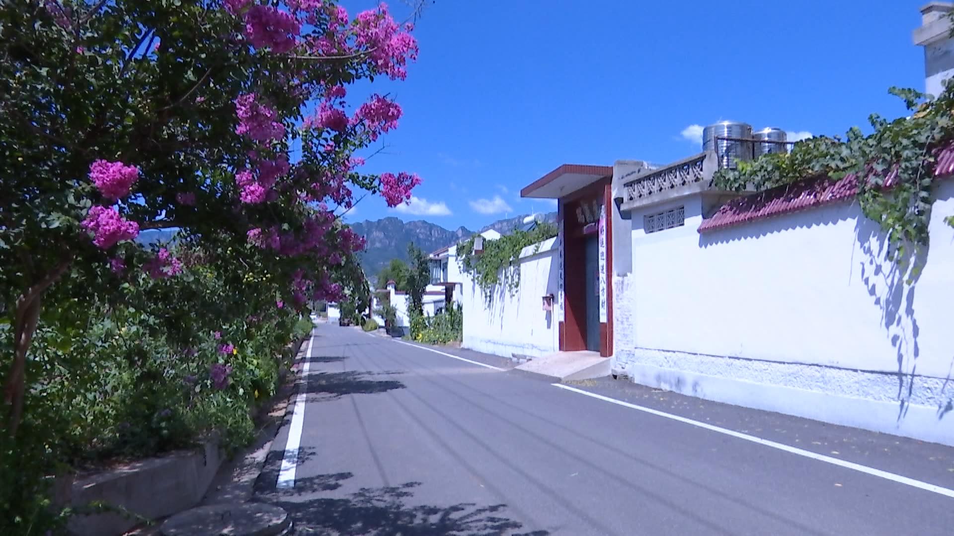 林州市合涧镇豆村:聚力人居环境整治 绘就和美乡村画卷