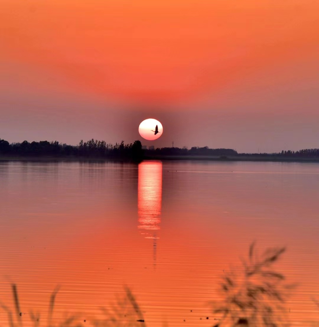 河南民权湿地晚霞景色迷人