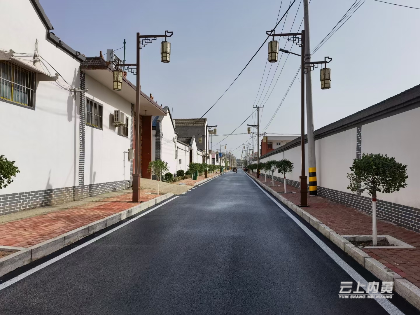 内黄县六村乡争创生态宜居星激发乡村发展新活力