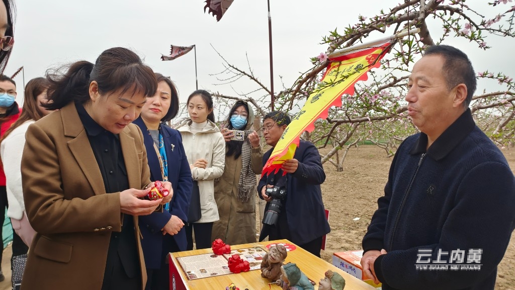 豆公桃花节图片