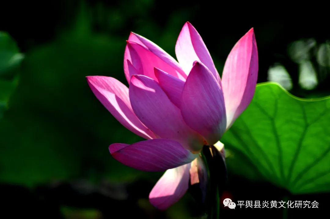 微信图片_20220622160159.jpg