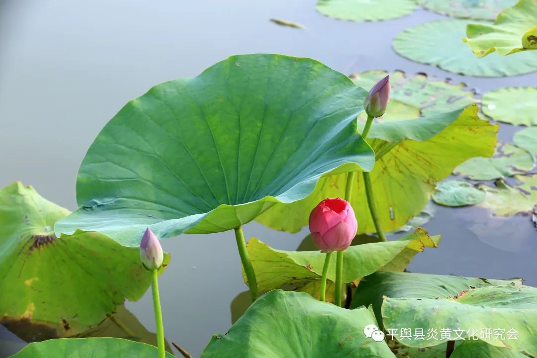 微信图片_20220622160859.jpg