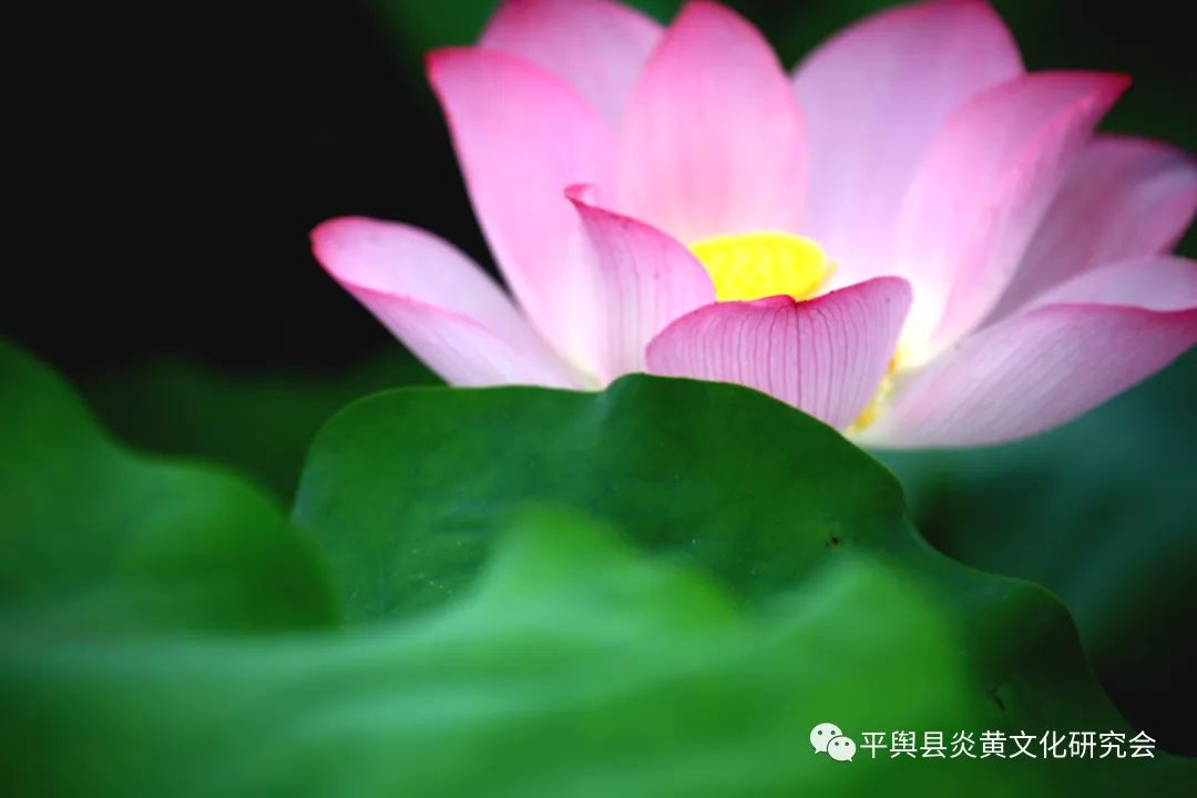 微信图片_20220622160216.jpg