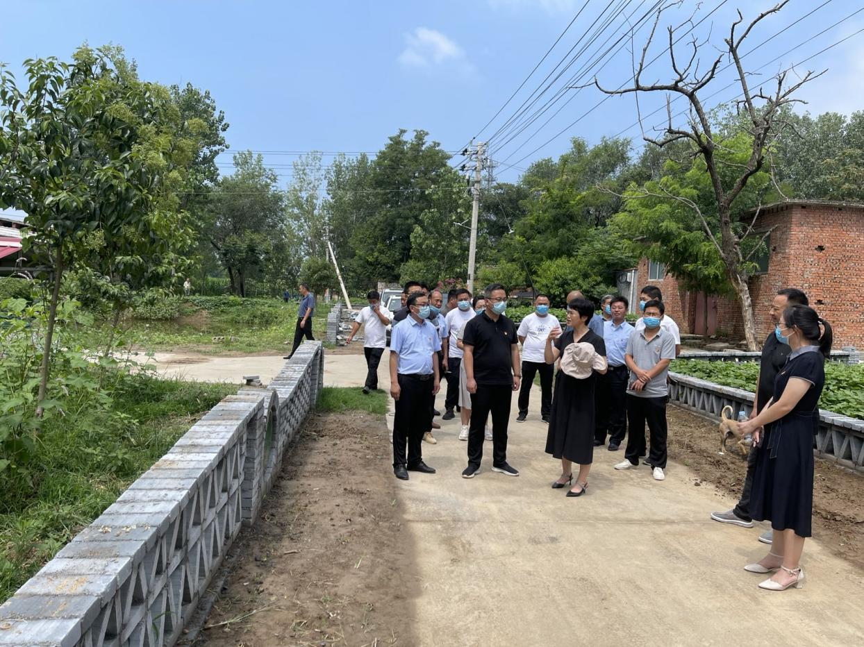 平舆县十字路乡开展人居环境观摩活动