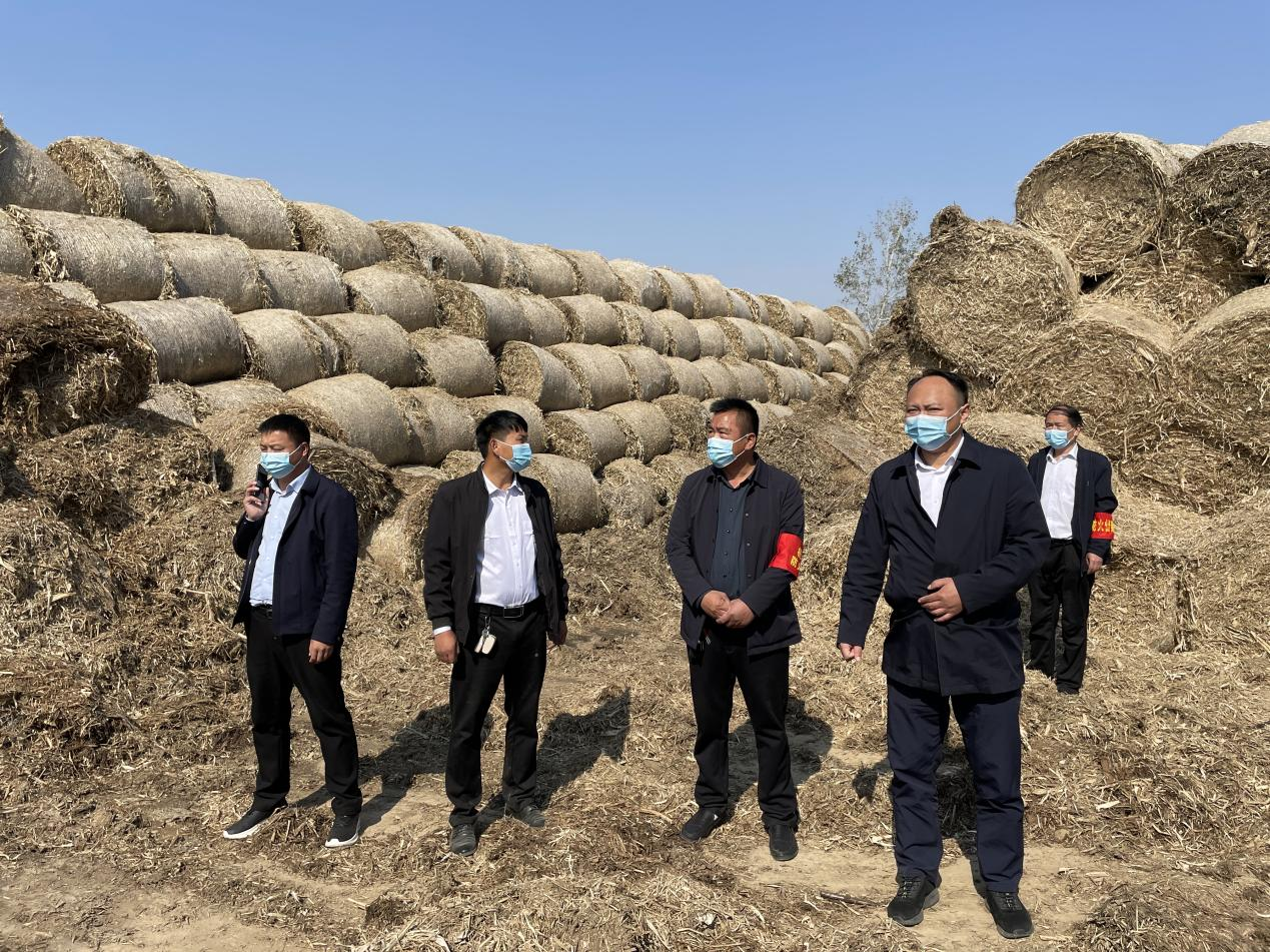 平舆县杨埠镇开展秸秆堆场火灾隐患排查工作